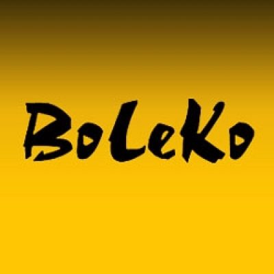 Компания «BoLeKo»