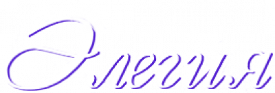 ШВЕЙНОЕ ПРЕДПРИЯТИЕ ЭЛЕГИЯ»