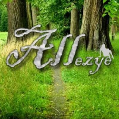 Allezye